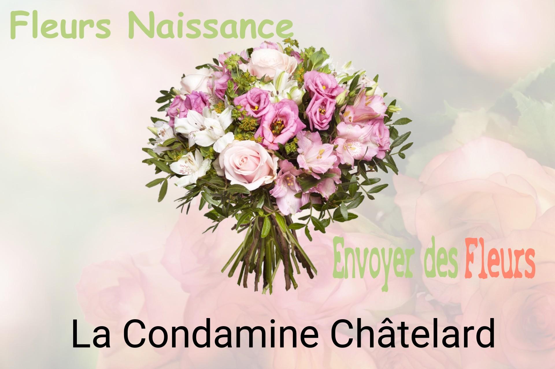 Bouquet de fleurs de naissance livré à La Condamine-Châtelard